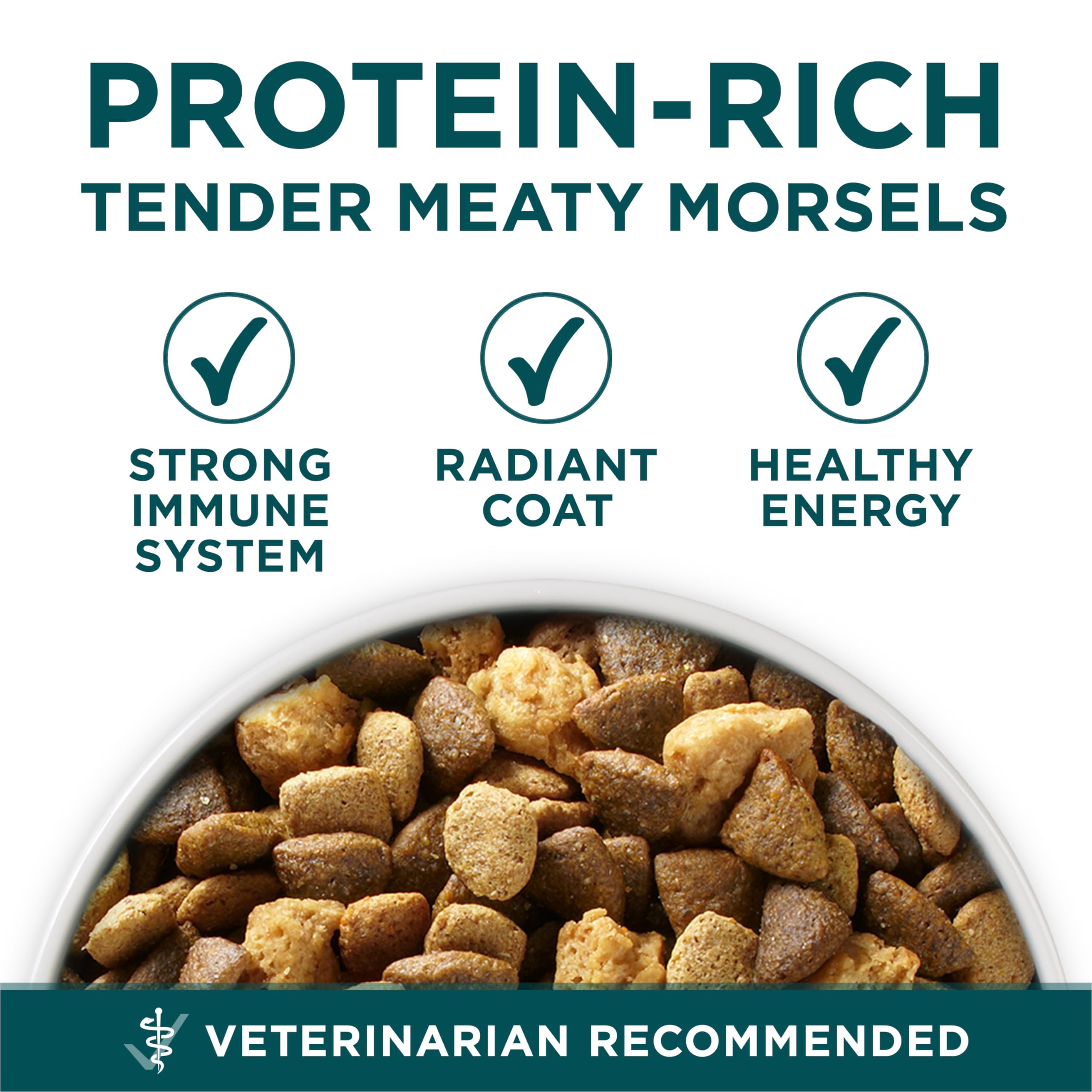 Purina ONE Plus Large Breed Puppy antioxidants for immune support