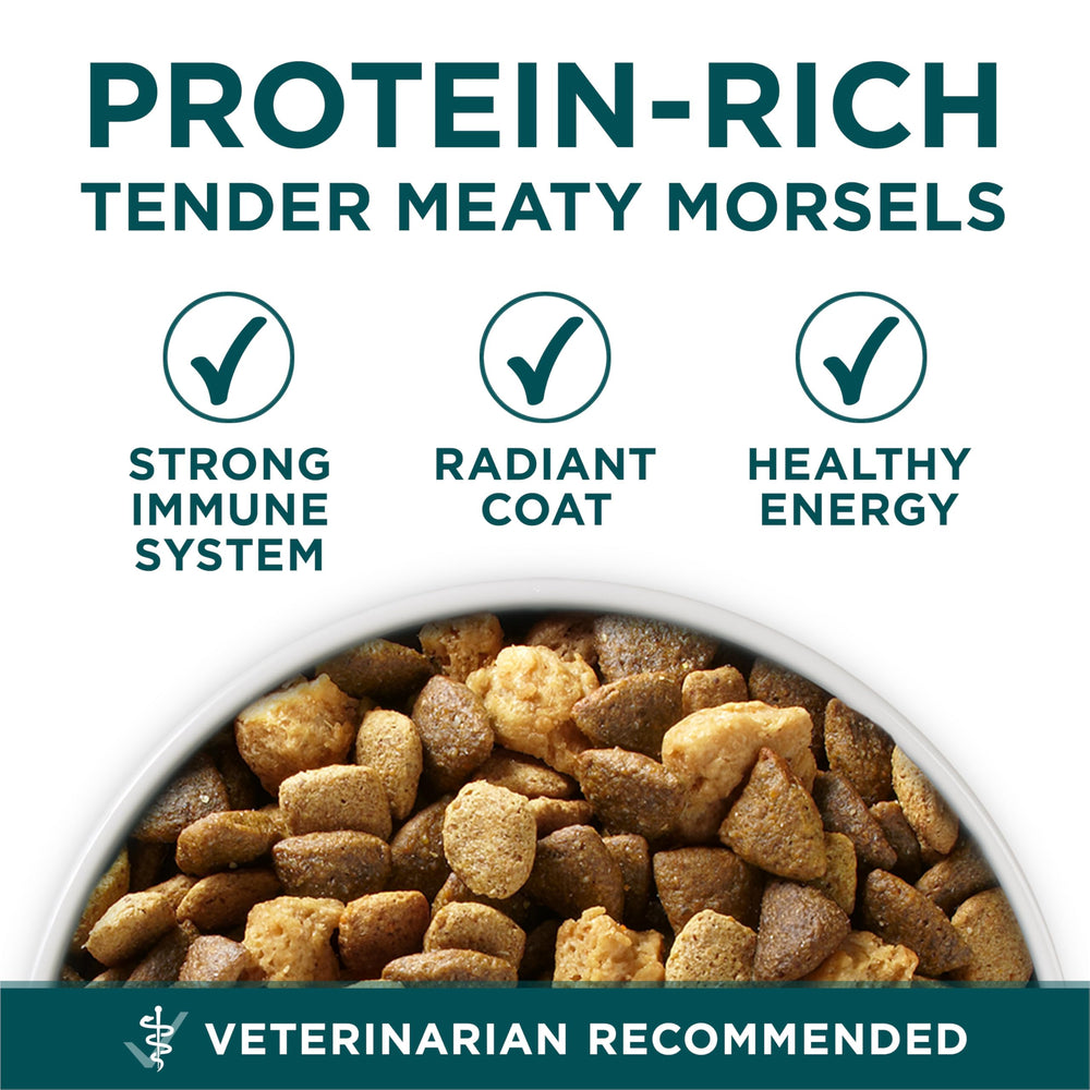 Purina ONE Plus Large Breed Puppy antioxidants for immune support