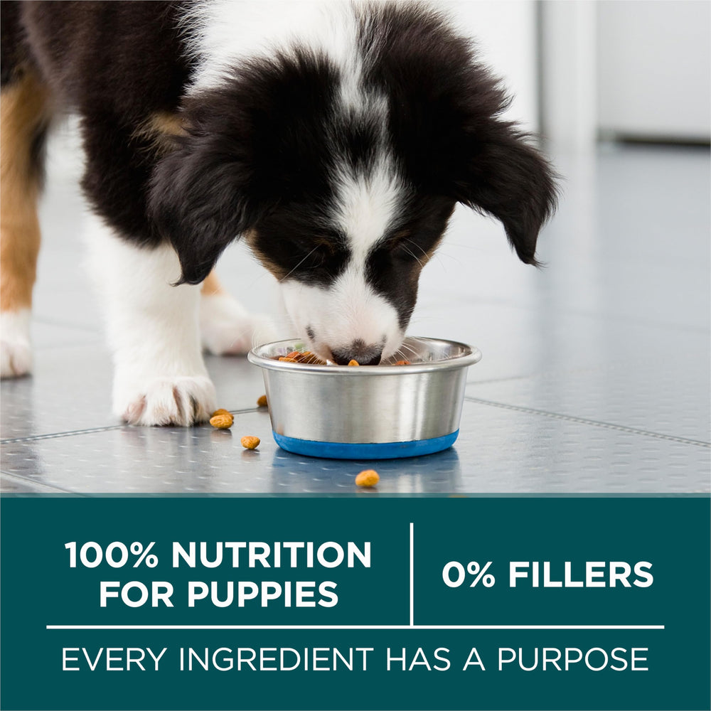 Purina ONE Plus Large Breed Puppy omega-6 for coat and skin shine