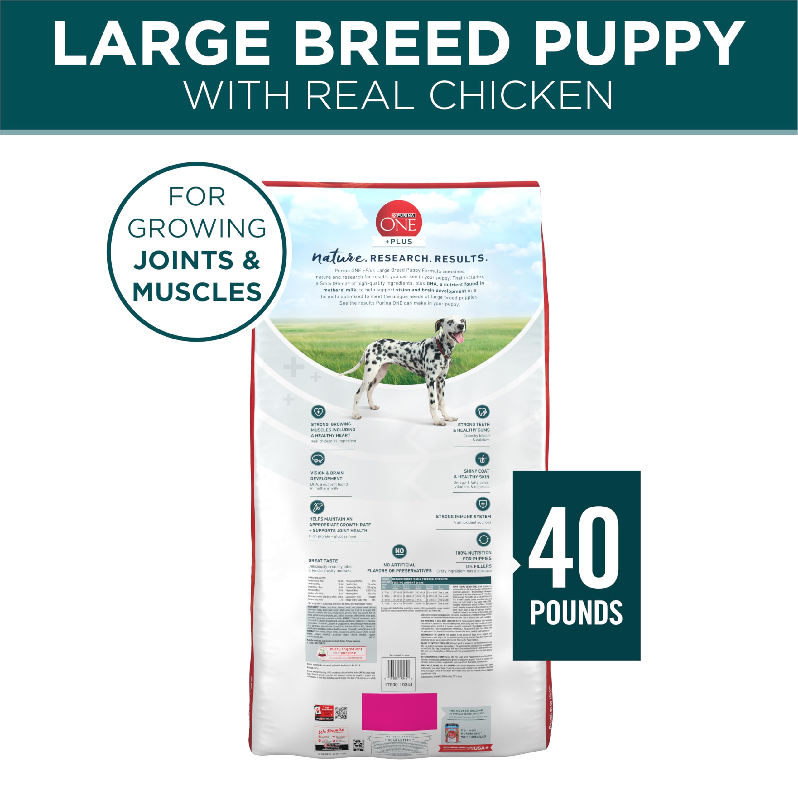 Purina ONE Plus Large Breed Puppy no artificial flavors or preservatives