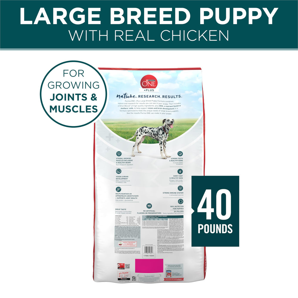 Purina ONE Plus Large Breed Puppy no artificial flavors or preservatives