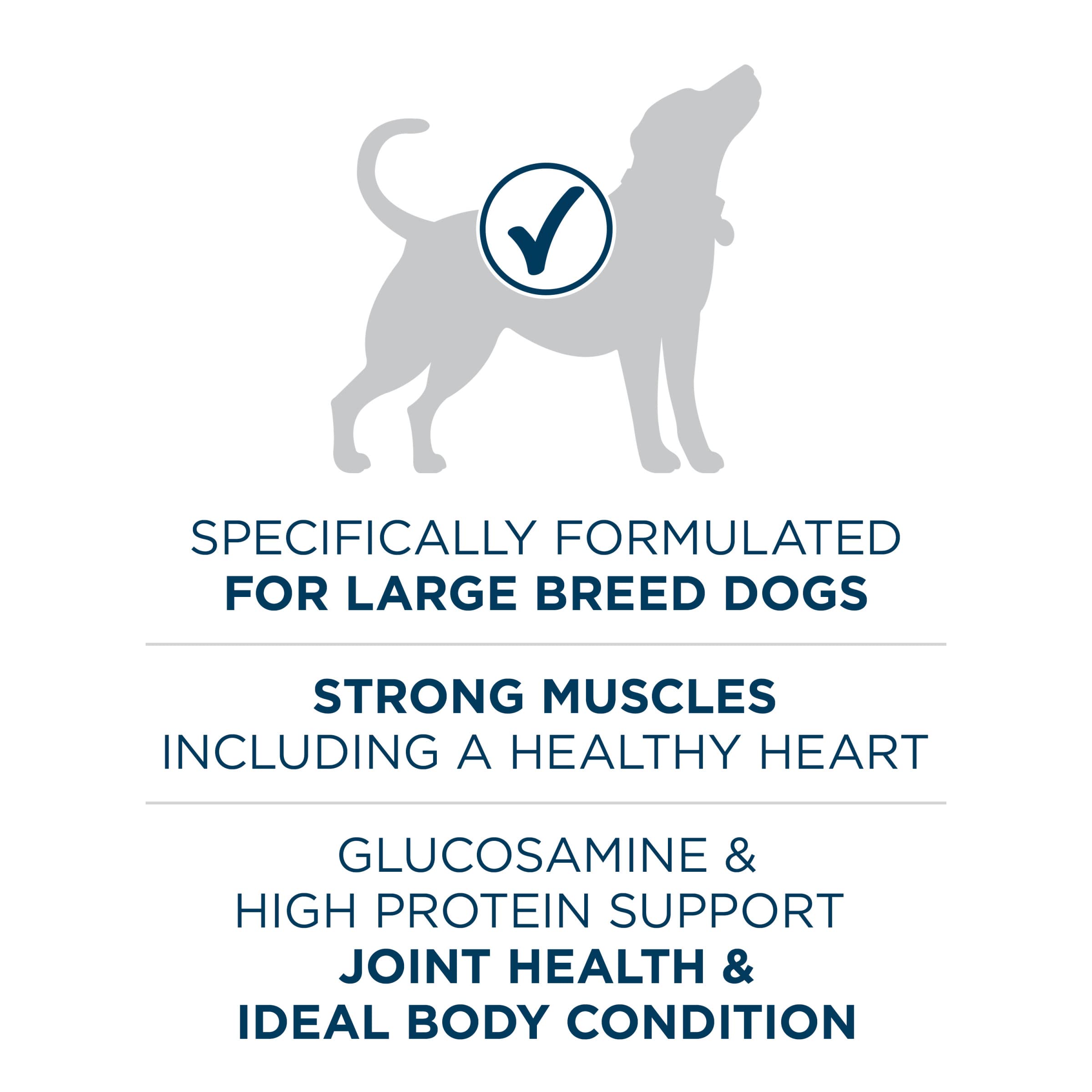 Purina ONE Plus Large Breed real chicken first ingredient supports protein