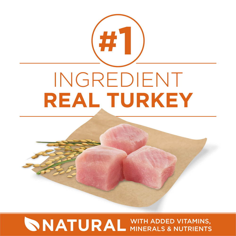 Purina ONE Plus crunchy kibble with tender morsels supports enjoyable meals.