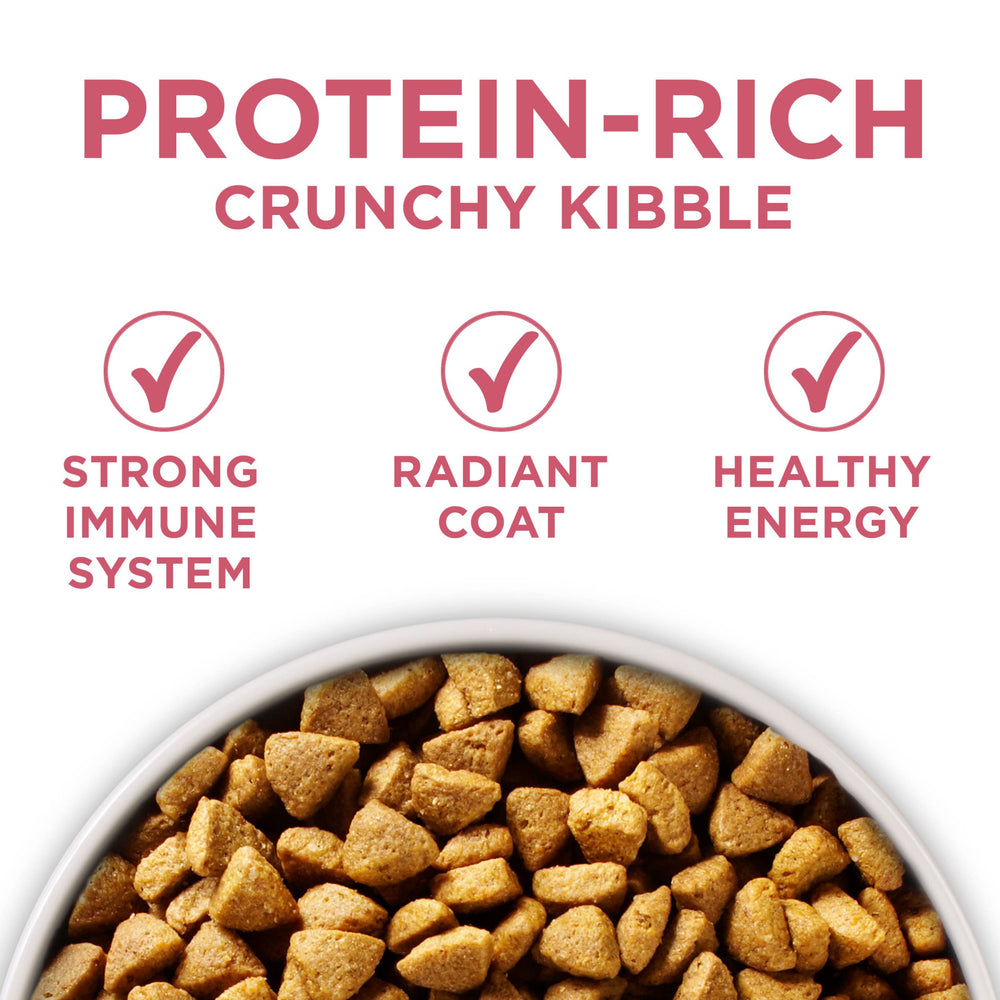 Purina ONE +Plus no artificial colors flavors or preservatives.