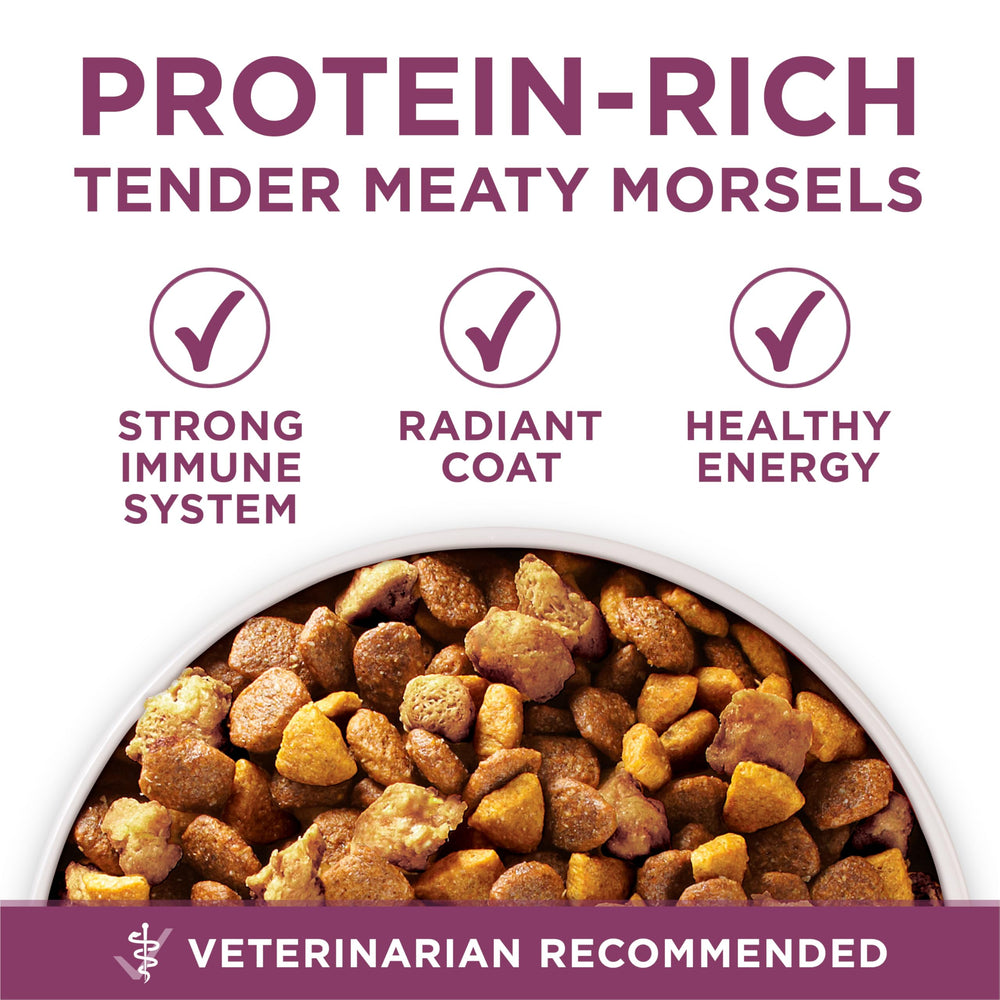 No artificial flavors or preservatives in this natural puppy food