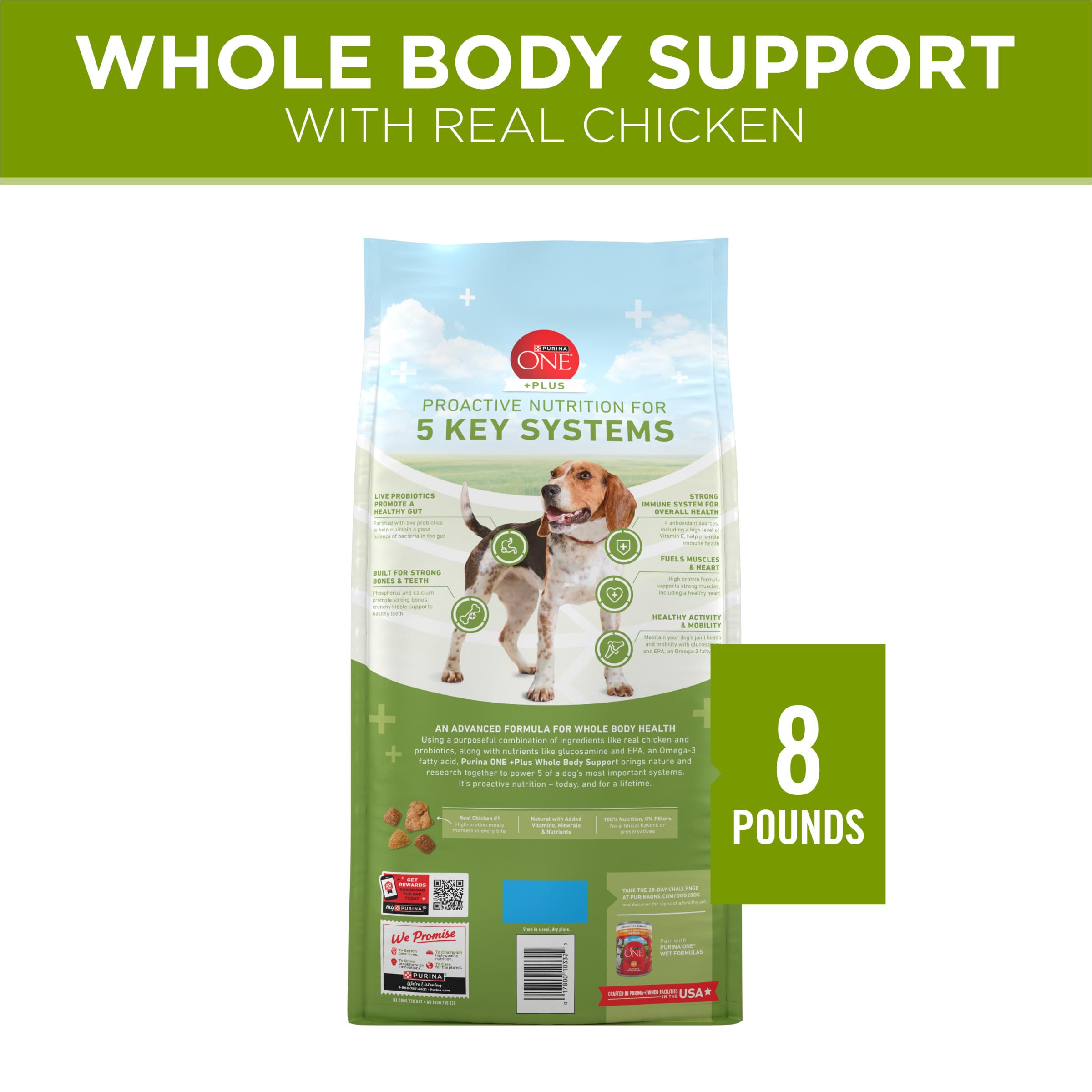 Purina ONE Plus no fillers or artificial flavors for clean nutrition