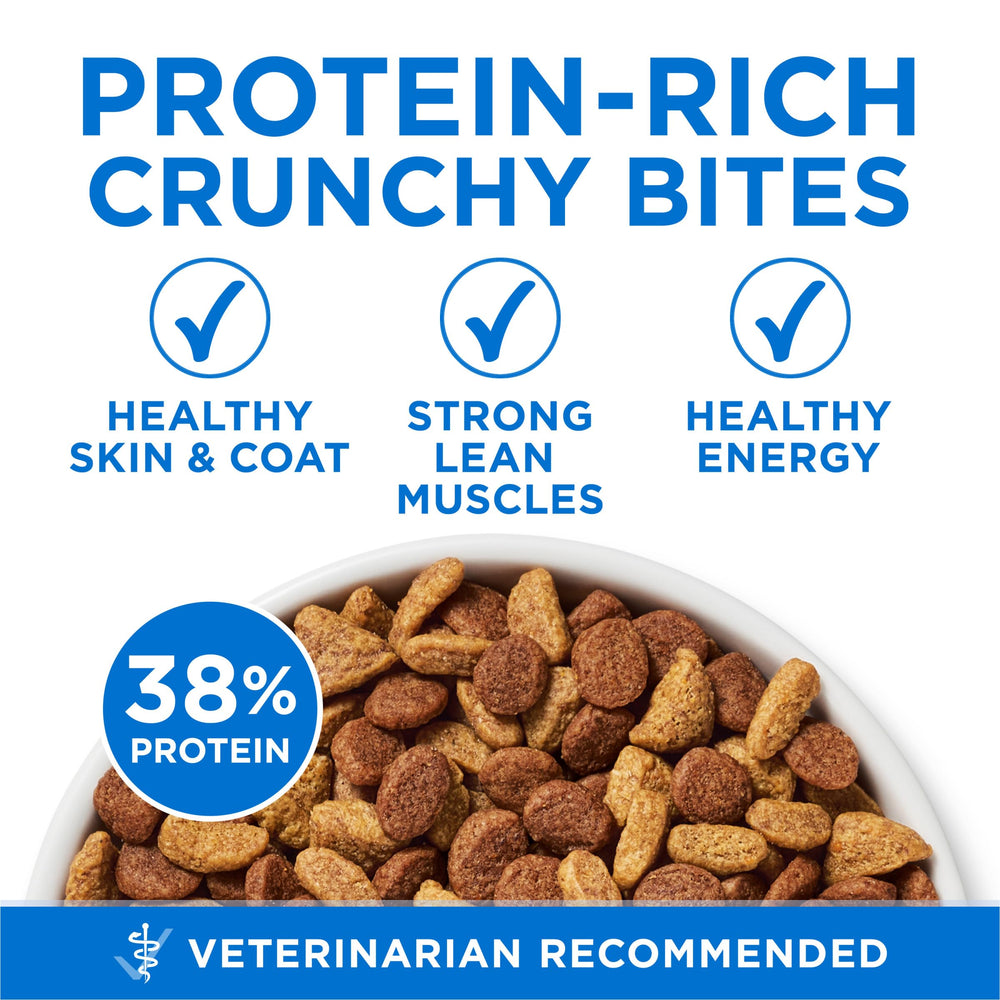 Purina ONE Plus omega-6 illustration highlighting skin and coat support