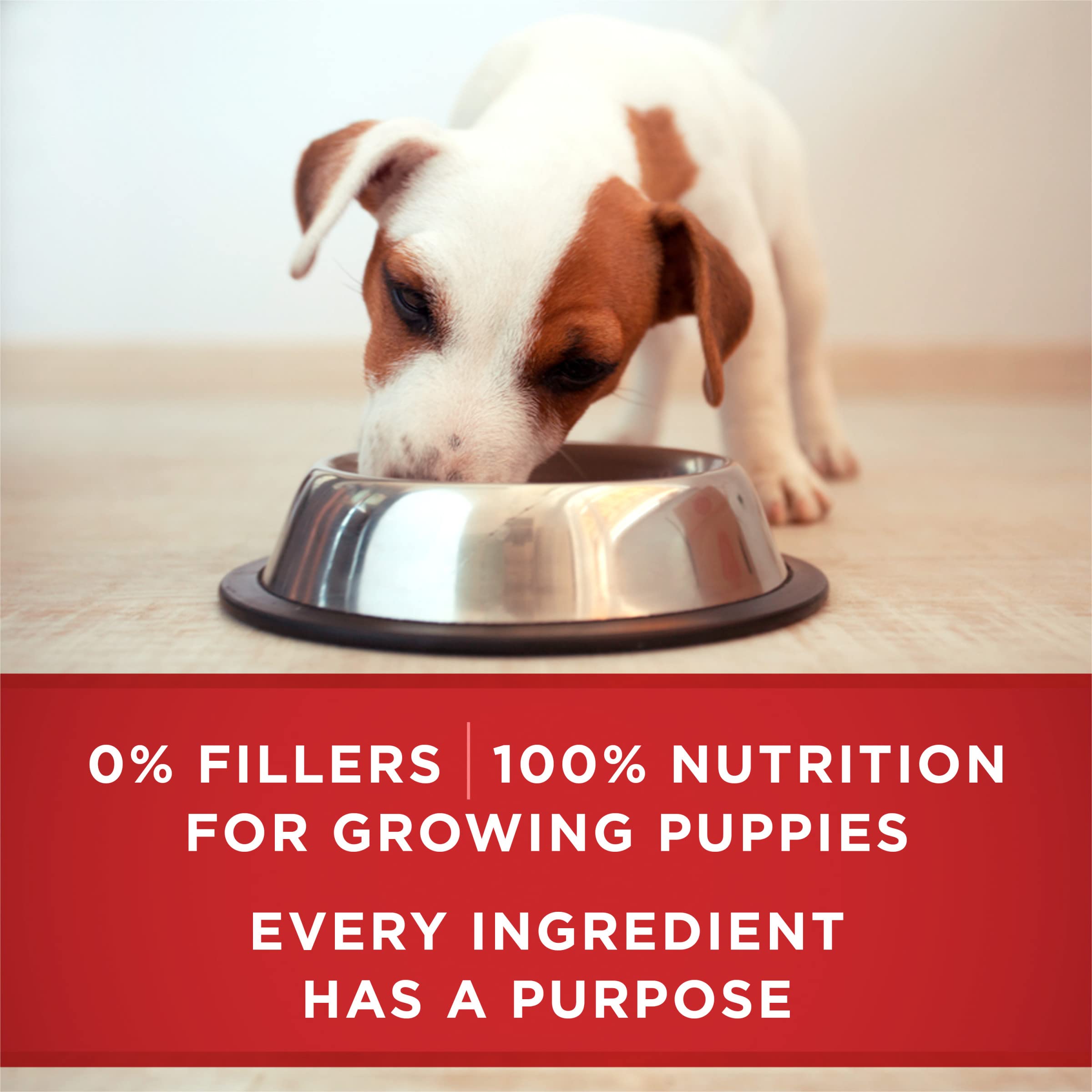 Purina ONE Plus 12 cans of 13 oz offer convenient feeding.