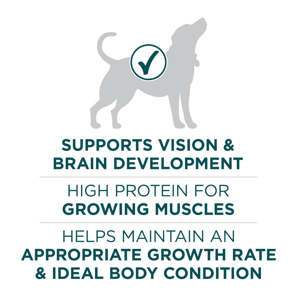 Purina ONE Plus Puppy Large Breed morsels with crunchy texture for chewing