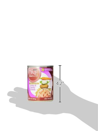Purina ONE Plus senior dog meal in bowl ready to serve