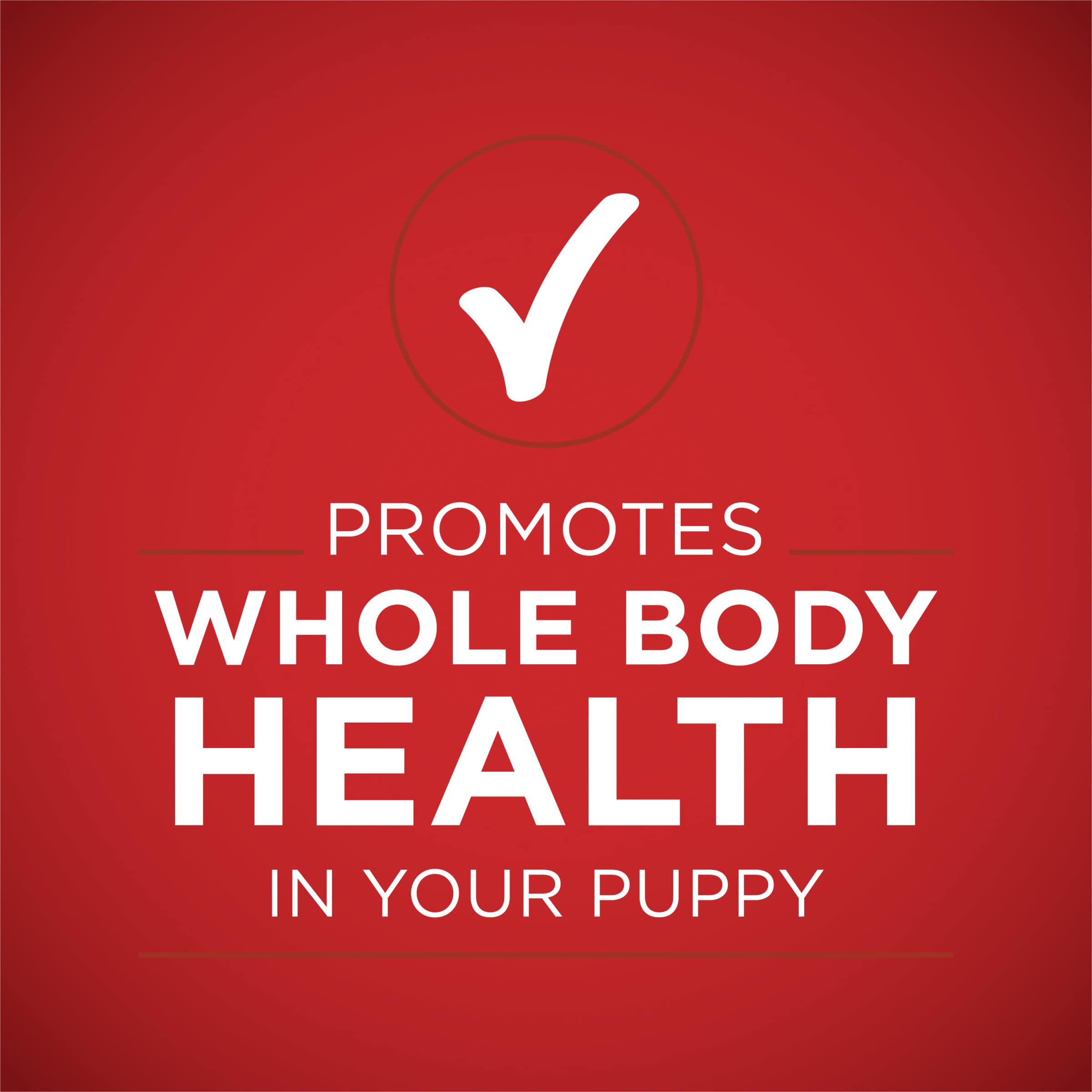 Purina ONE Plus shown in a bowl for easy dinnertime serving.