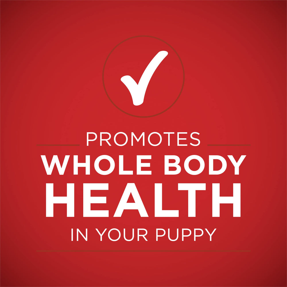 Purina ONE Plus shown in a bowl for easy dinnertime serving.