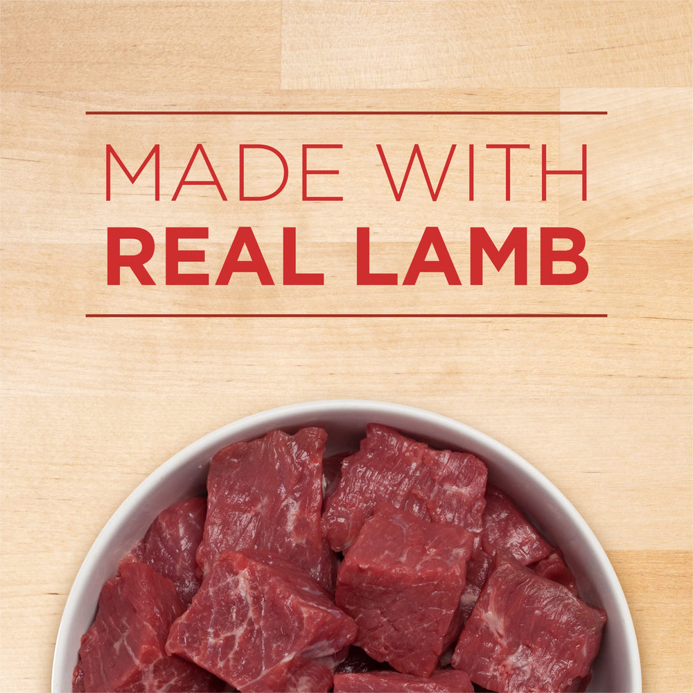 Purina ONE Plus puppy food with real lamb texture for tender meals.