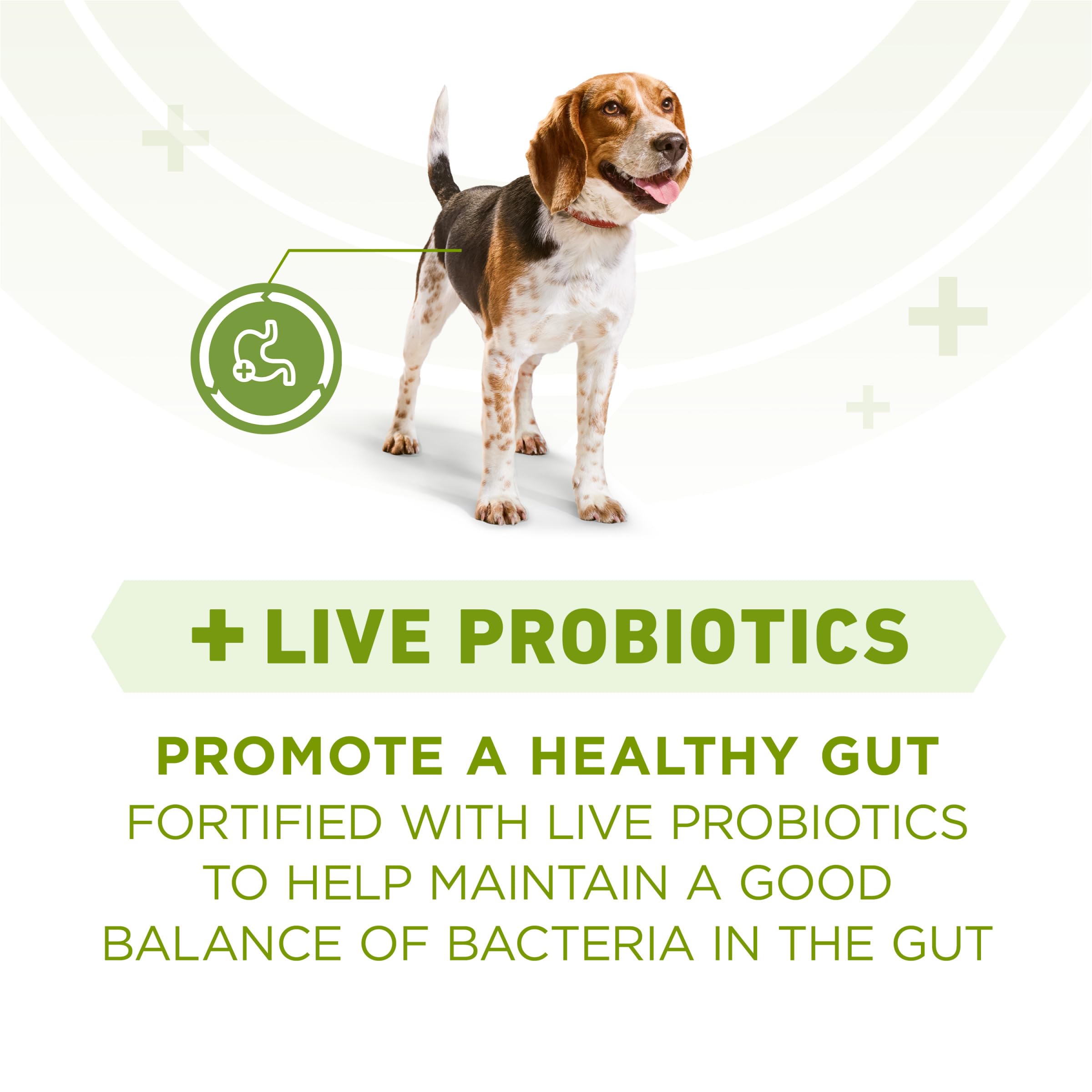 Purina ONE Plus packaging highlighting probiotics for digestive balance
