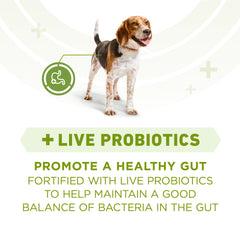 Purina ONE Plus packaging highlighting probiotics for digestive balance