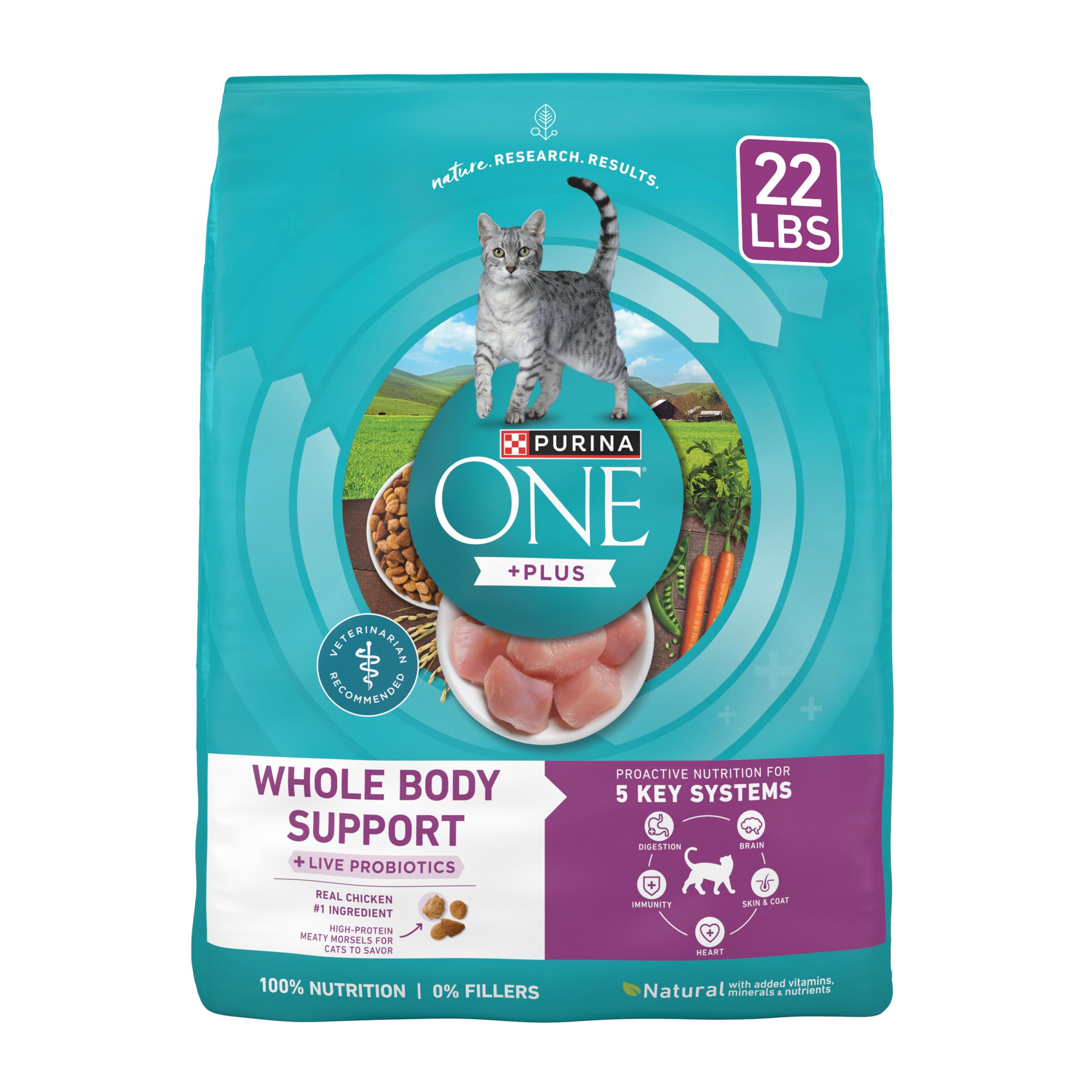 Purina ONE Plus Whole Body Support chicken kibble in a bowl supports energy and muscle health.