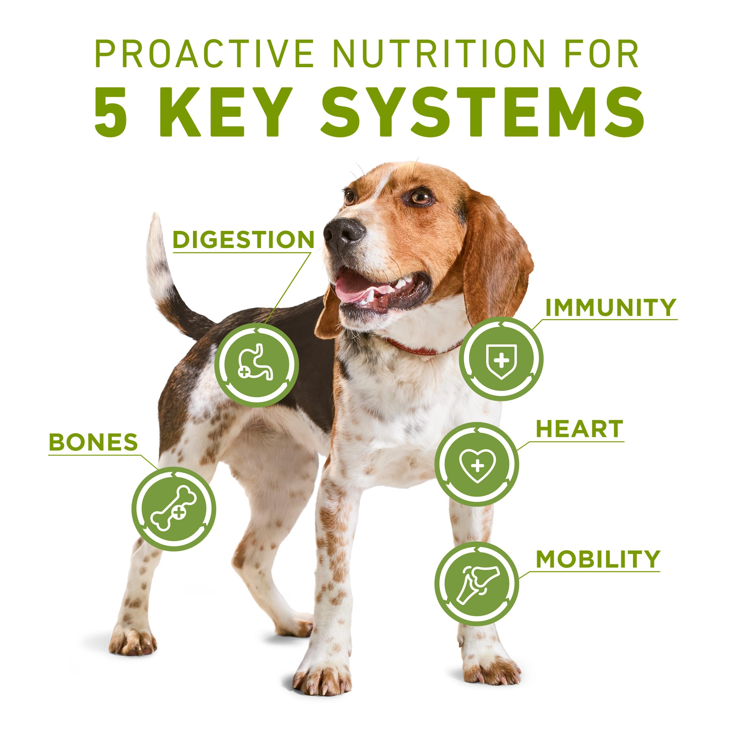 Purina ONE Plus kibble close-up reveals crunchy pieces and tender shreds for texture.
