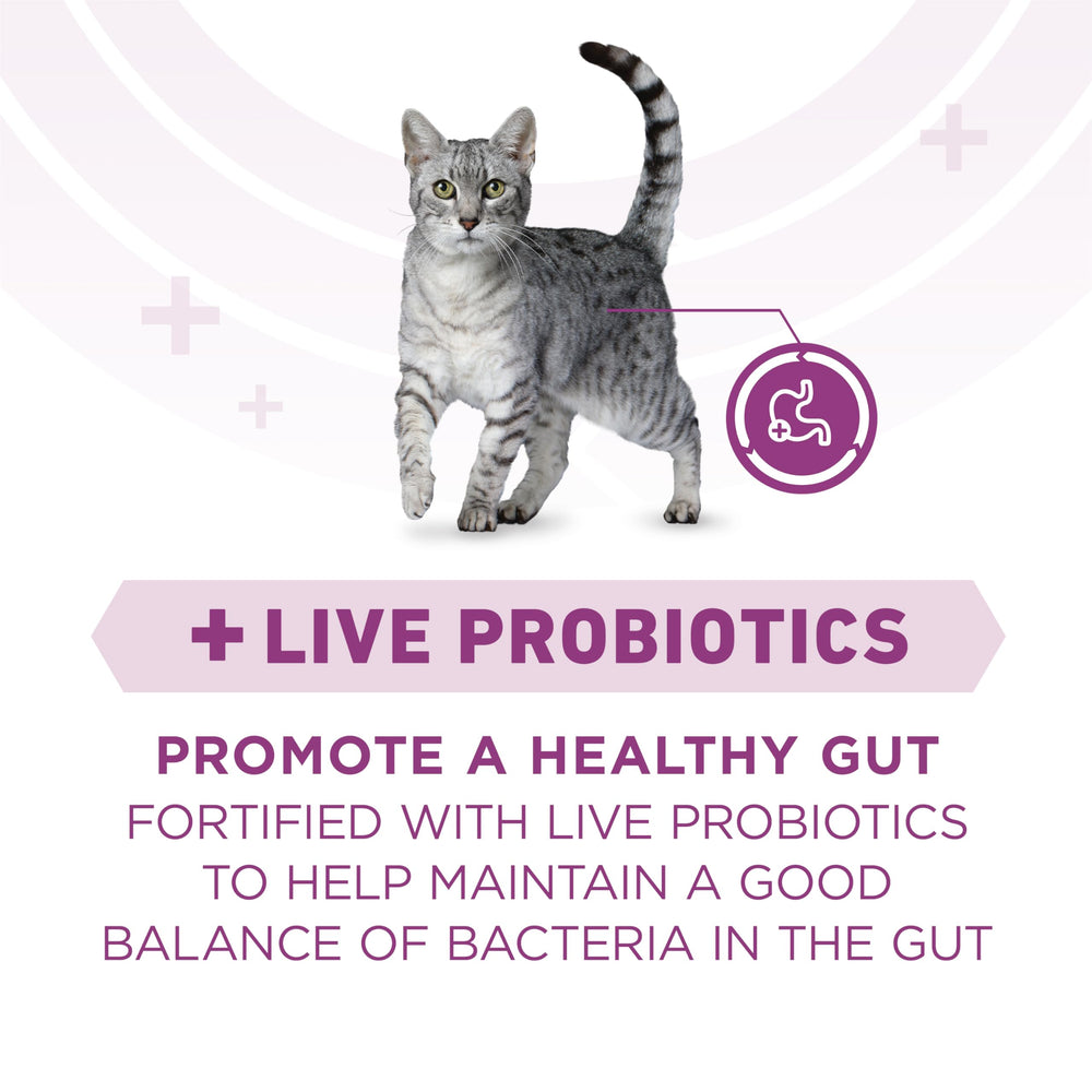 Purina ONE Plus label highlights live probiotics for digestive comfort in cats.