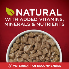 Purina ONE real beef and wild salmon tender cuts in gravy close-up for mealtime texture