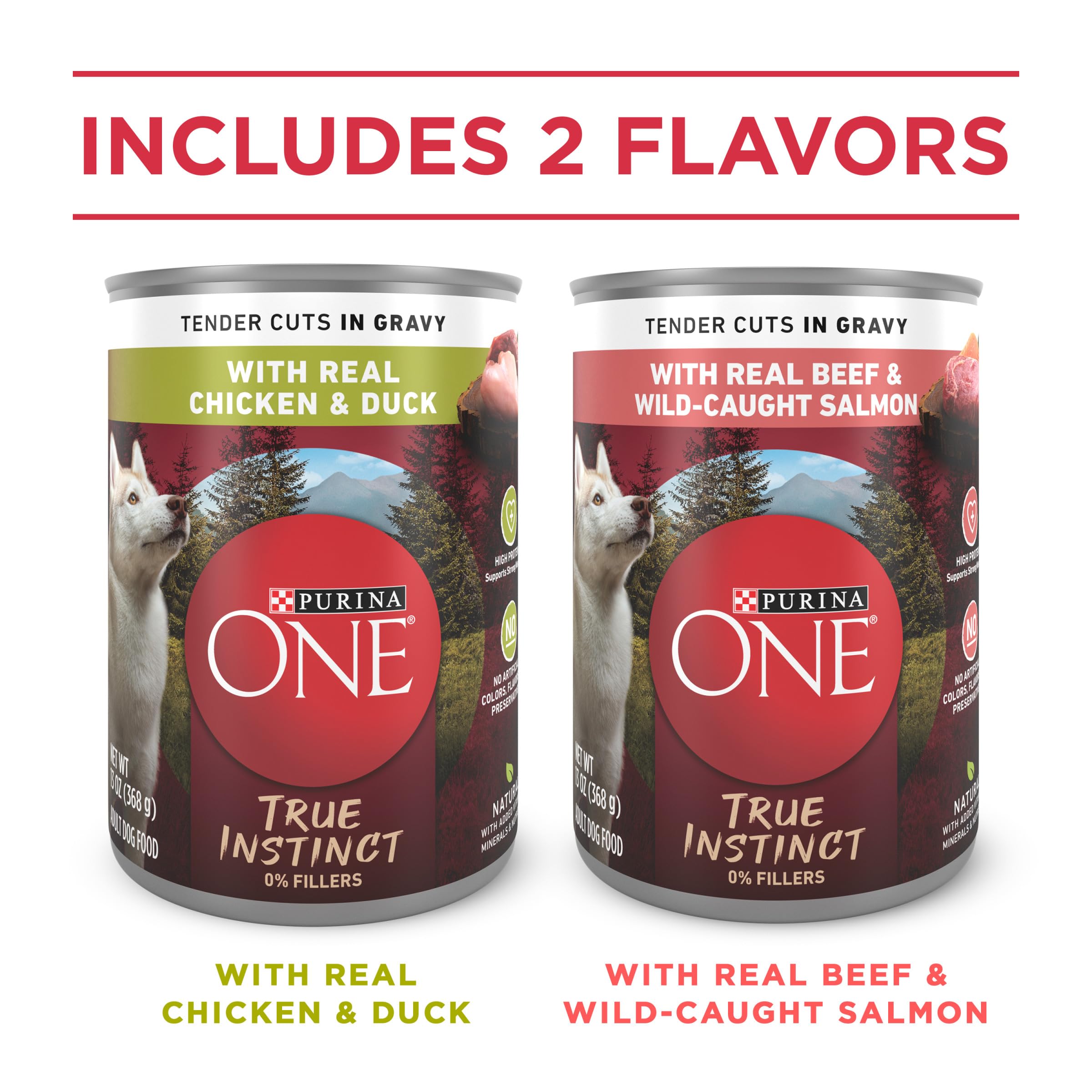 Purina ONE real beef salmon tender cuts in gravy—satisfying protein for dogs.