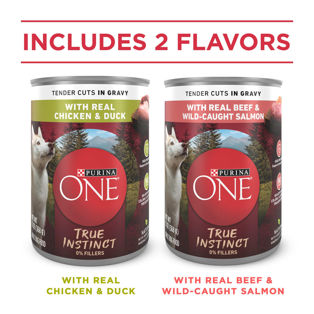 Purina ONE real beef salmon tender cuts in gravy—satisfying protein for dogs.