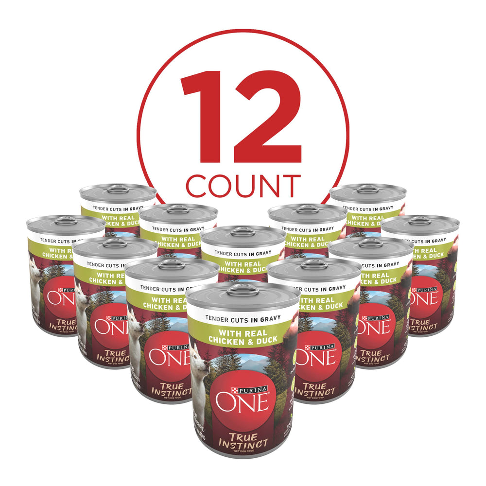 Purina ONE real chicken and duck in gravy, appetizing dog food image