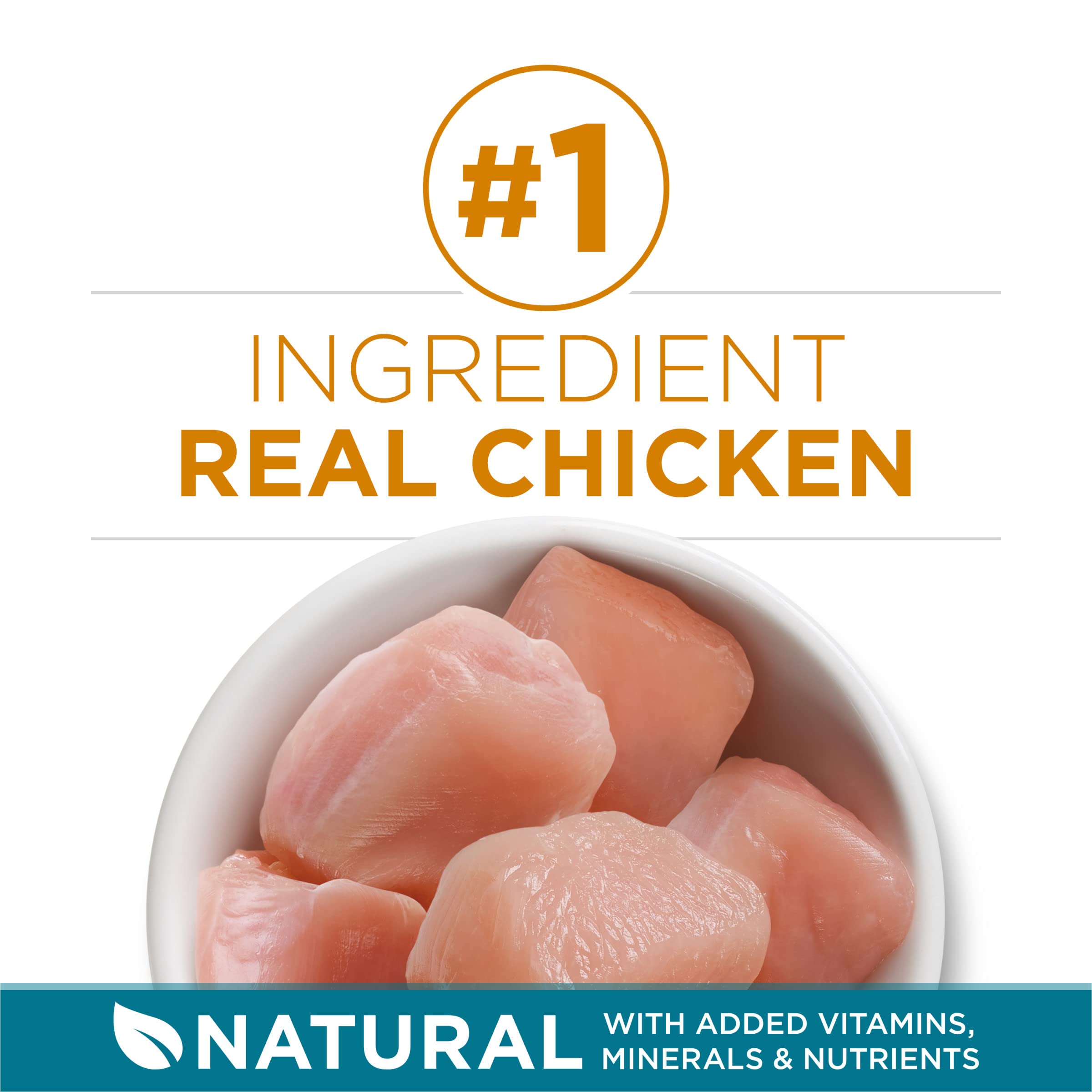 Purina ONE real chicken ingredients highlight premium protein for daily energy