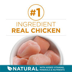 Purina ONE real chicken ingredients highlight premium protein for daily energy