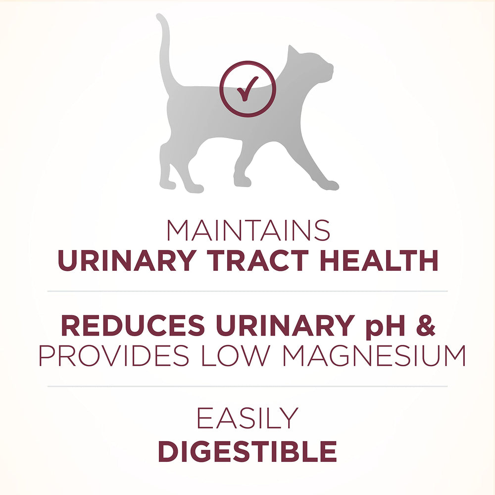 Purina ONE real chicken protein bites on kibble promoting lean muscle support.