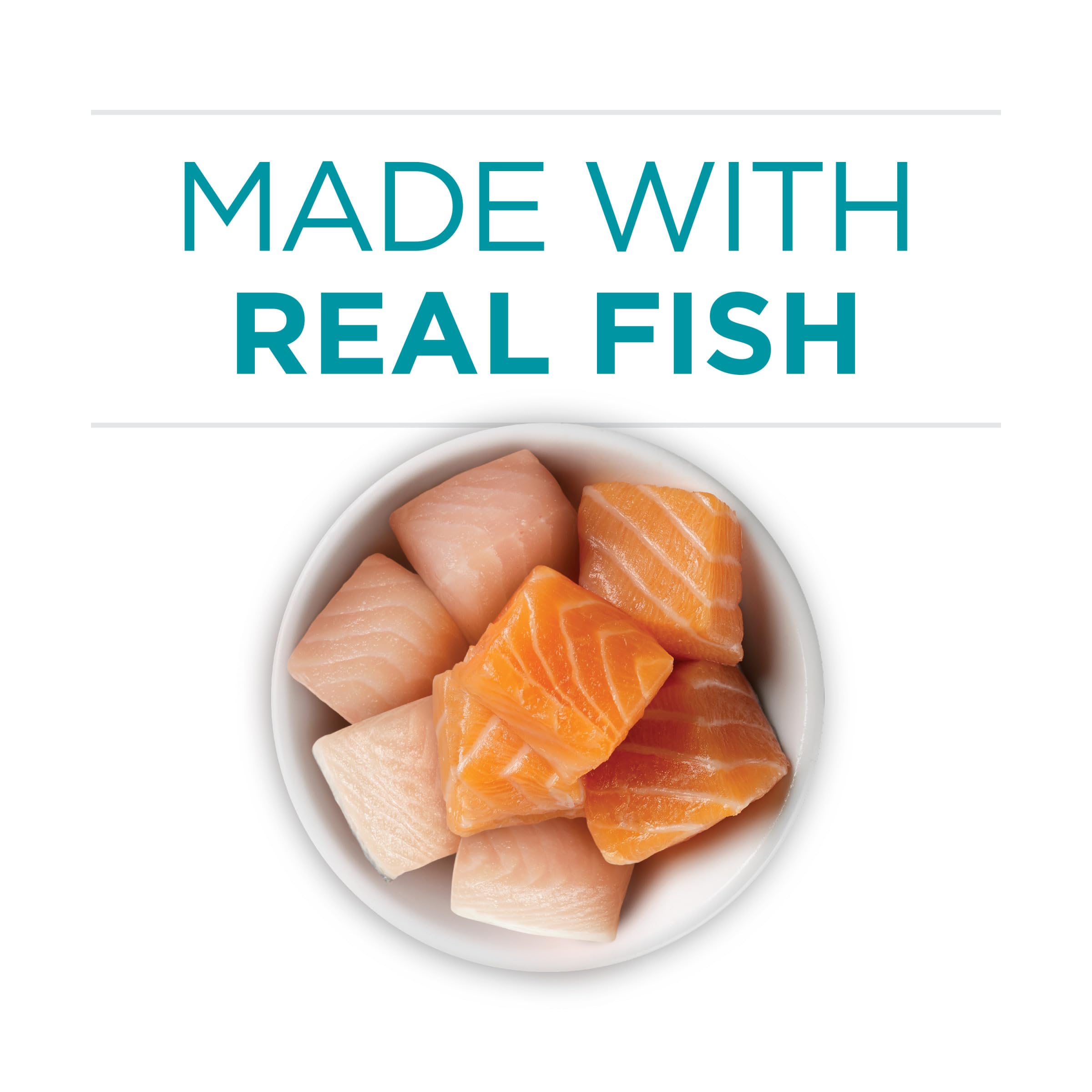 Purina ONE real salmon and trout ingredients showcase.