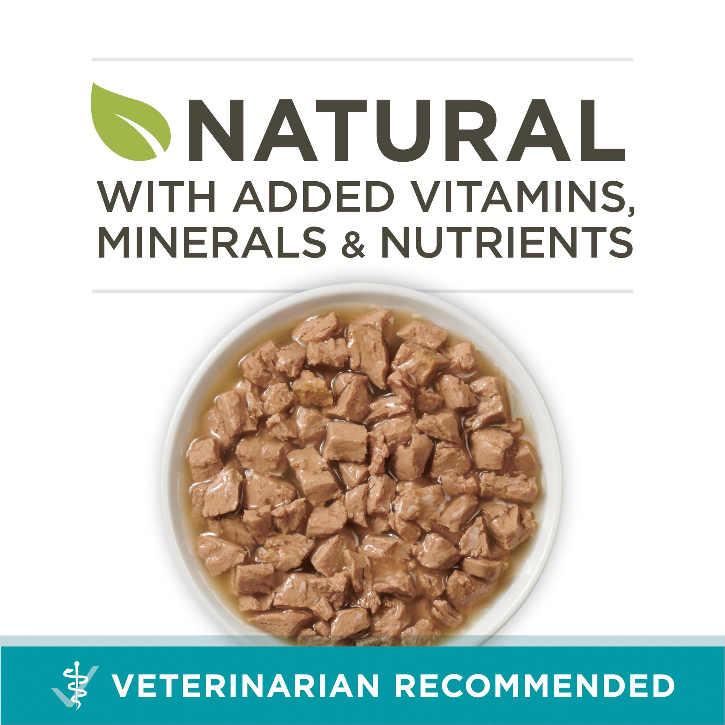 Purina ONE salmon-trout in sauce cans, close-up, protein-rich nutrition for cats.