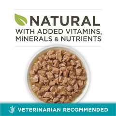 Purina ONE salmon-trout in sauce cans, close-up, protein-rich nutrition for cats.