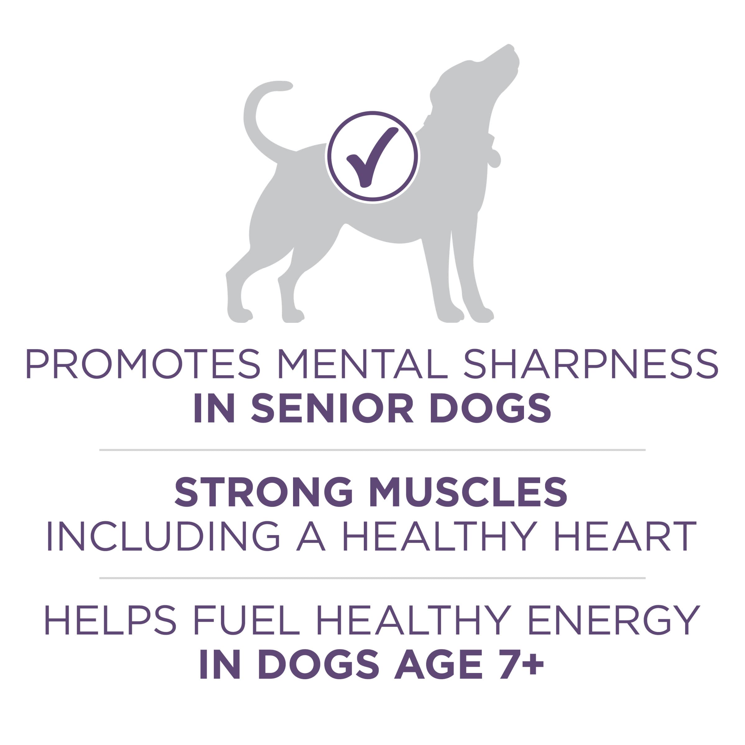 Purina ONE senior dog with chicken-first ingredient for protein