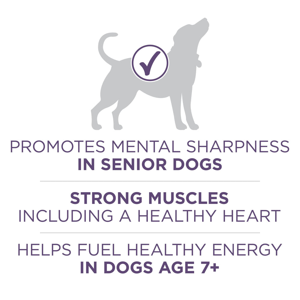 Purina ONE senior dog with chicken-first ingredient for protein