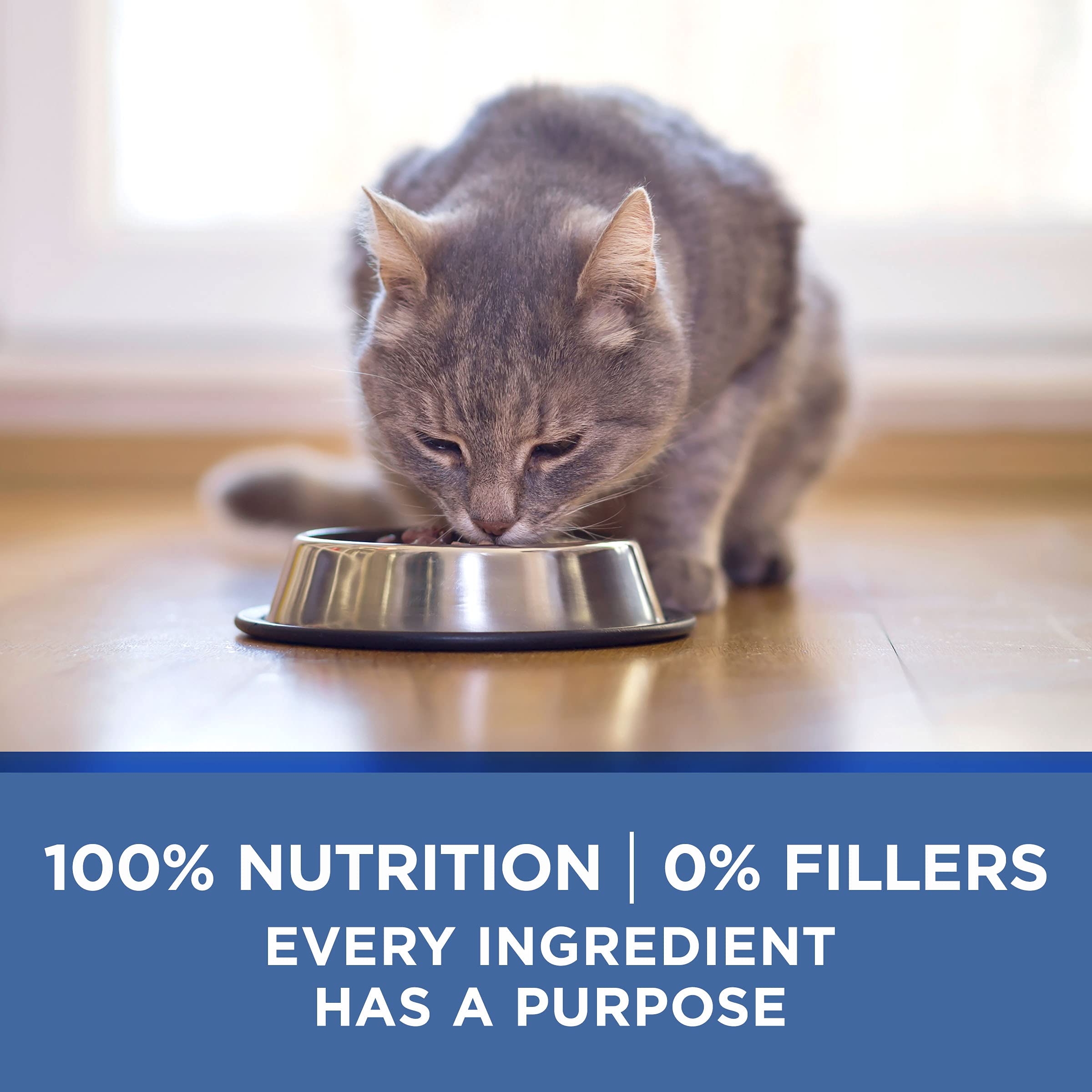Purina ONE senior serving idea illustrates simple feeding routine.