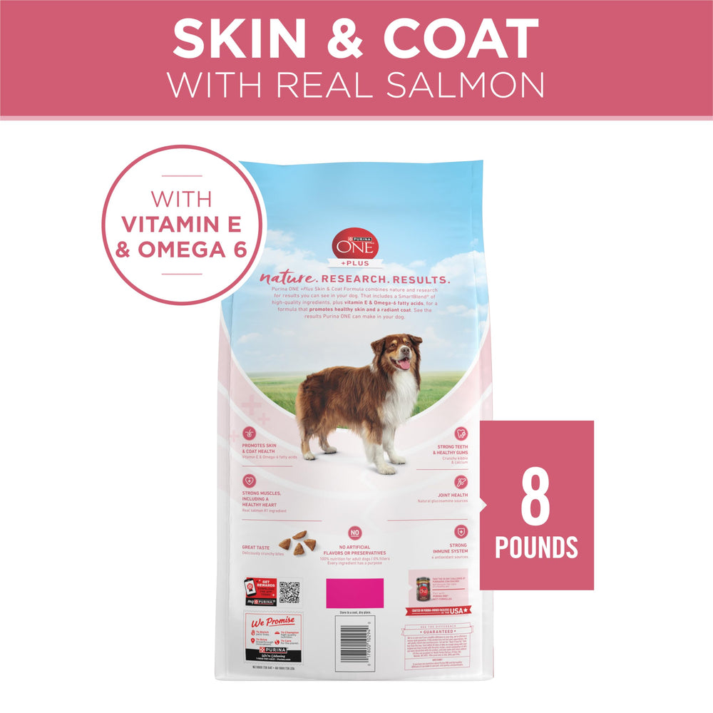 Purina ONE sensitive stomach dry dog food suitable for home feeding