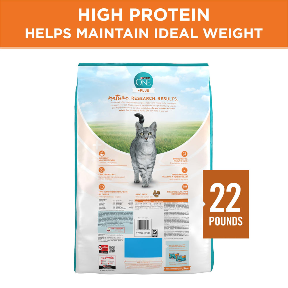 Purina ONE Serving Bowl demonstrates easy serving for daily meals.