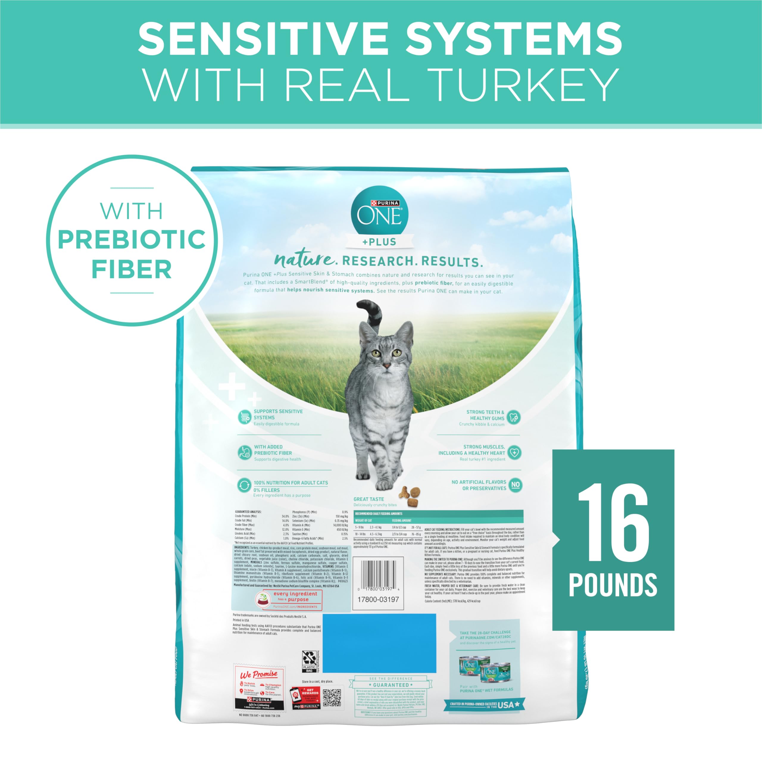 Purina ONE feeding in bowl promotes steady meals for cats