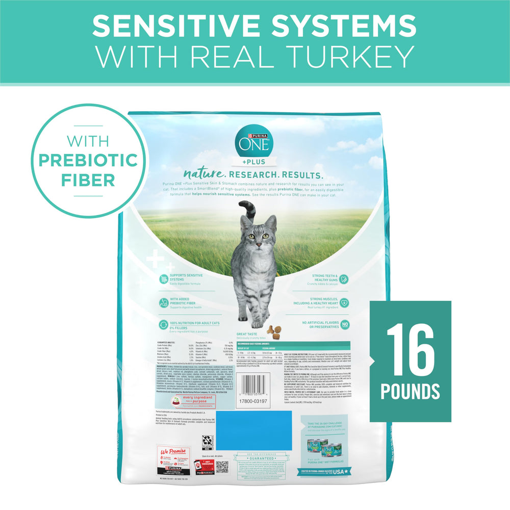 Purina ONE feeding in bowl promotes steady meals for cats