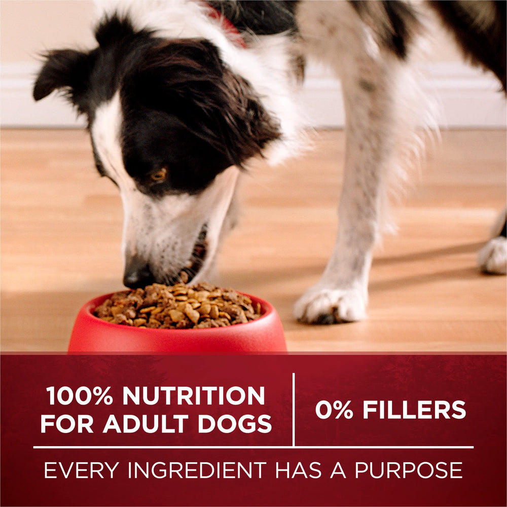 Purina ONE serving suggestion image showing real turkey and venison flavor.
