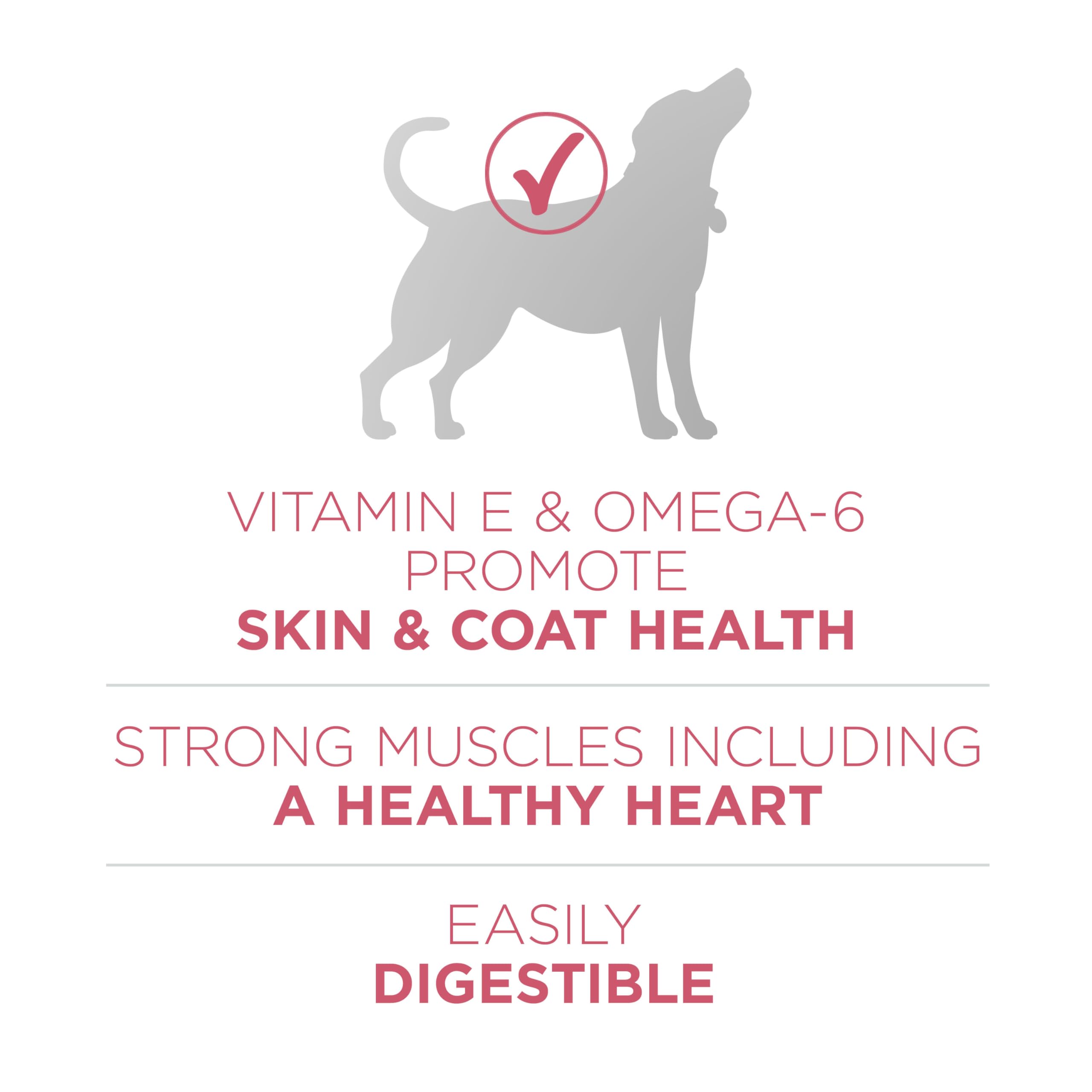 Purina ONE skin-coat health image highlights vitamin E and omega-6 benefits.