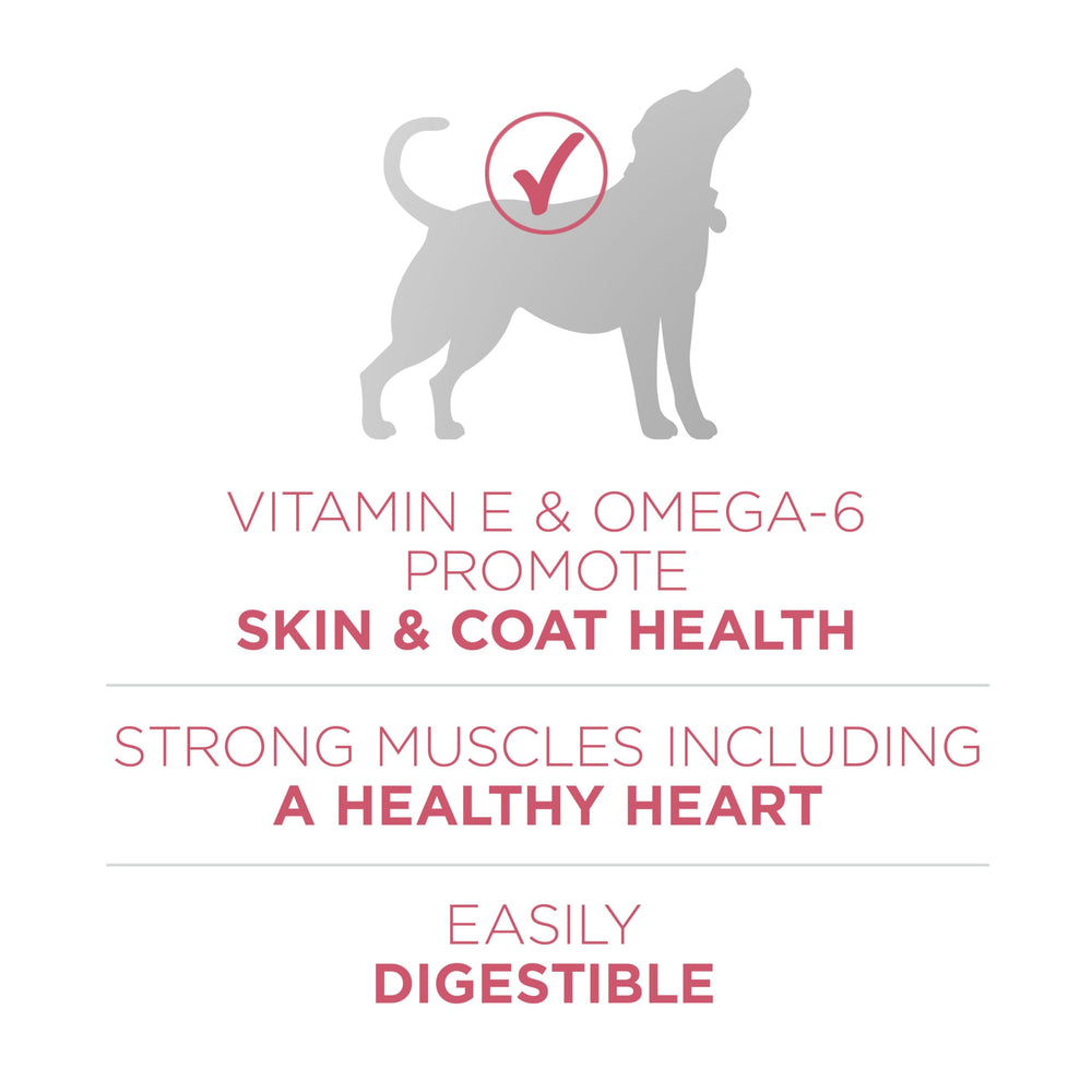 Purina ONE skin-coat health image highlights vitamin E and omega-6 benefits.