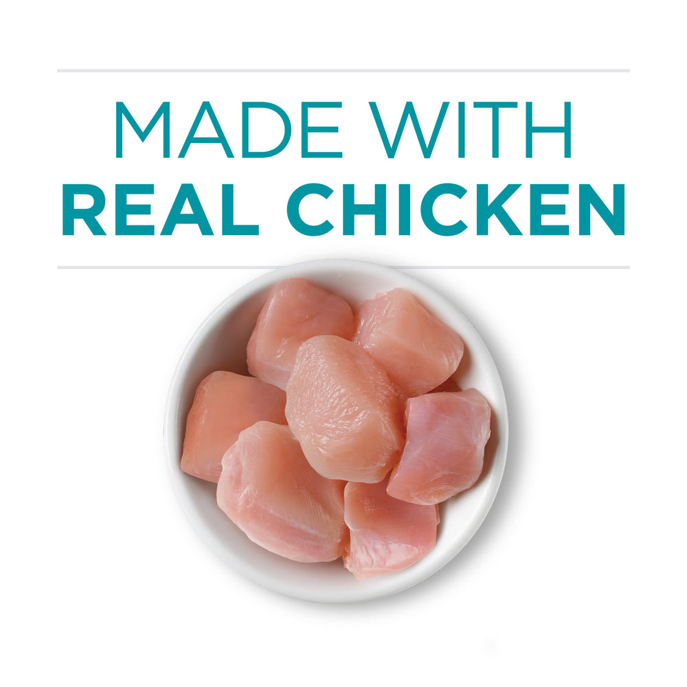 Purina ONE skin and coat support through balanced nutrients and consistent feeding
