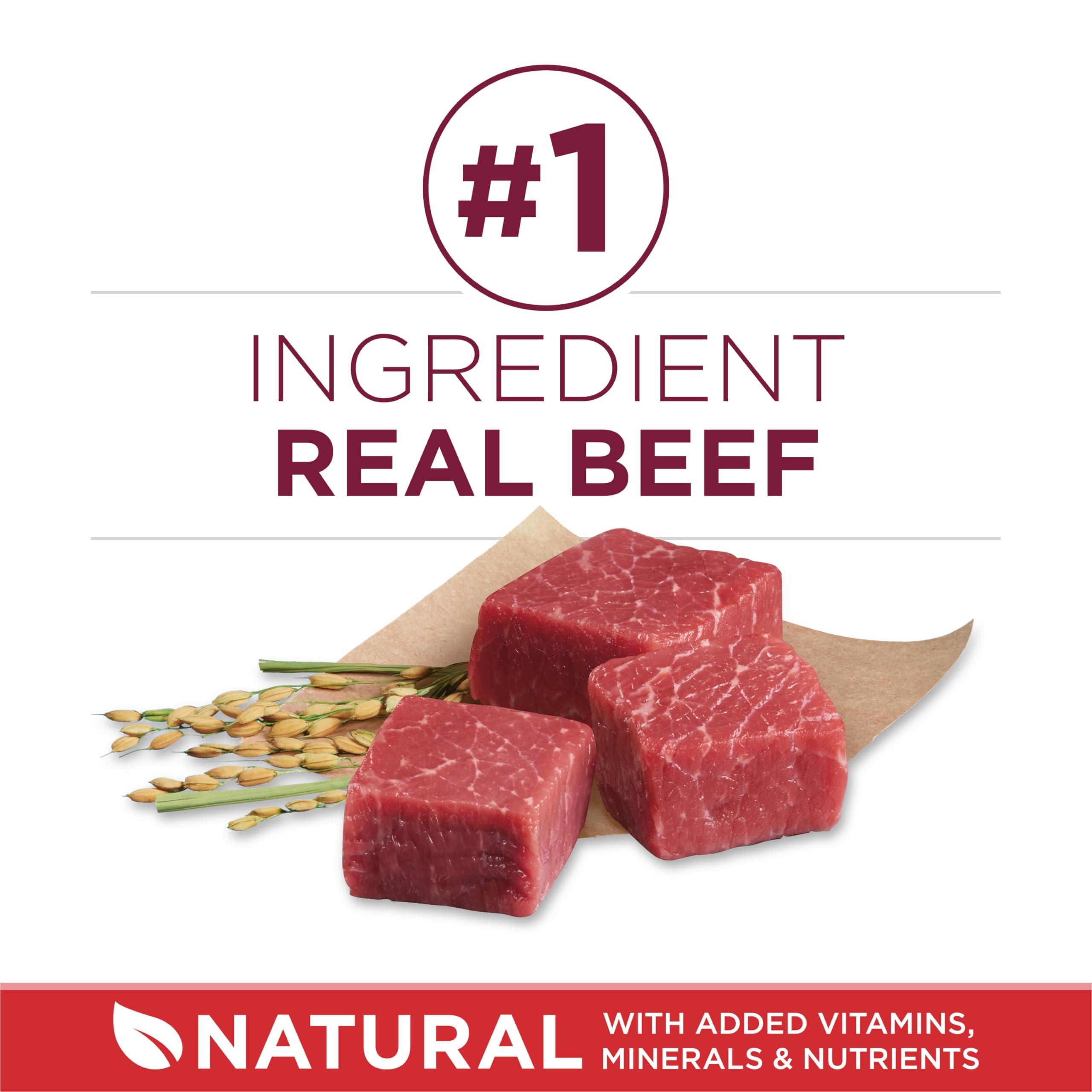 Purina ONE Small Bites kibble closeup shows real beef as the first ingredient.
