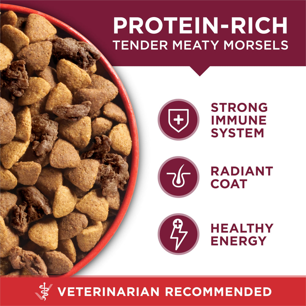 Purina ONE Small Bites texture closeup shows crunchy bites.