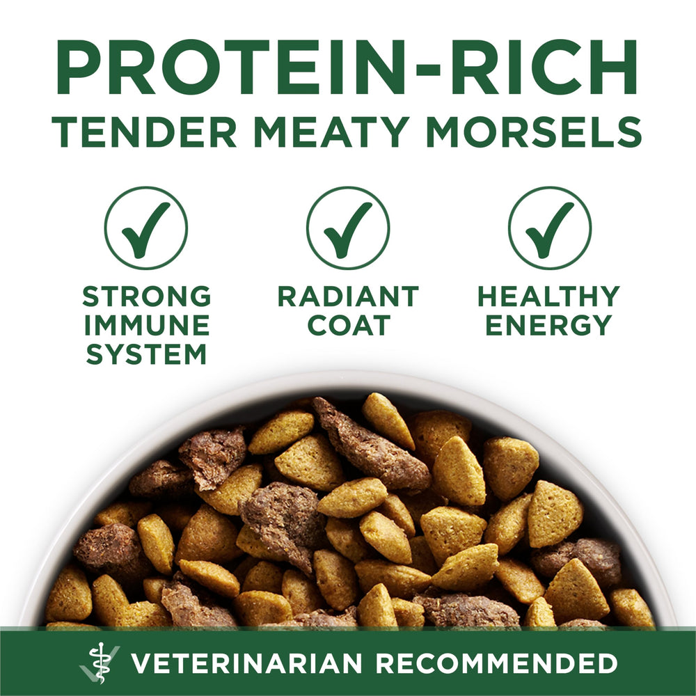 Purina ONE omega-6 for coat, skin, and shine in small dogs