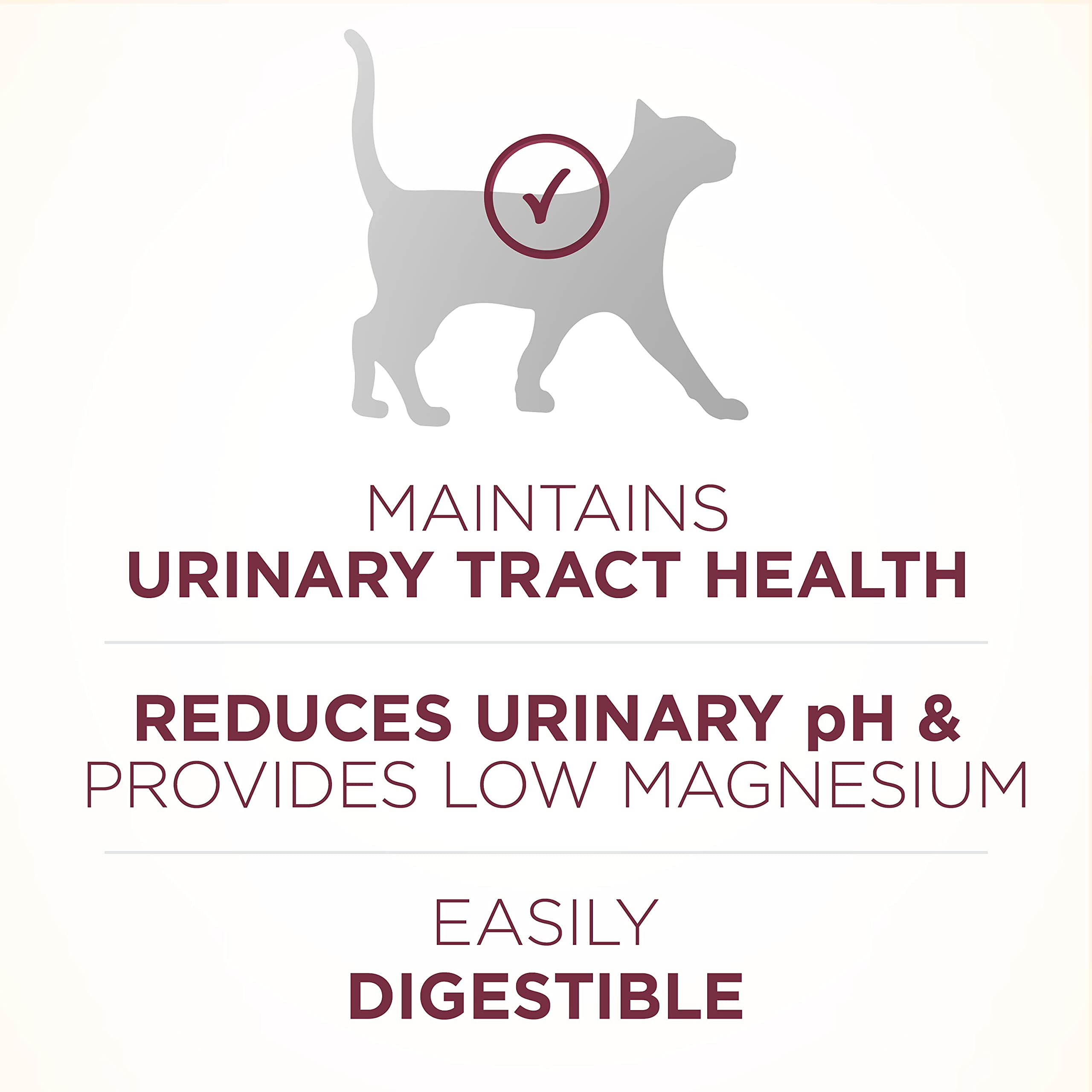 Purina ONE SmartBlend uses digestible ingredients for overall wellness.