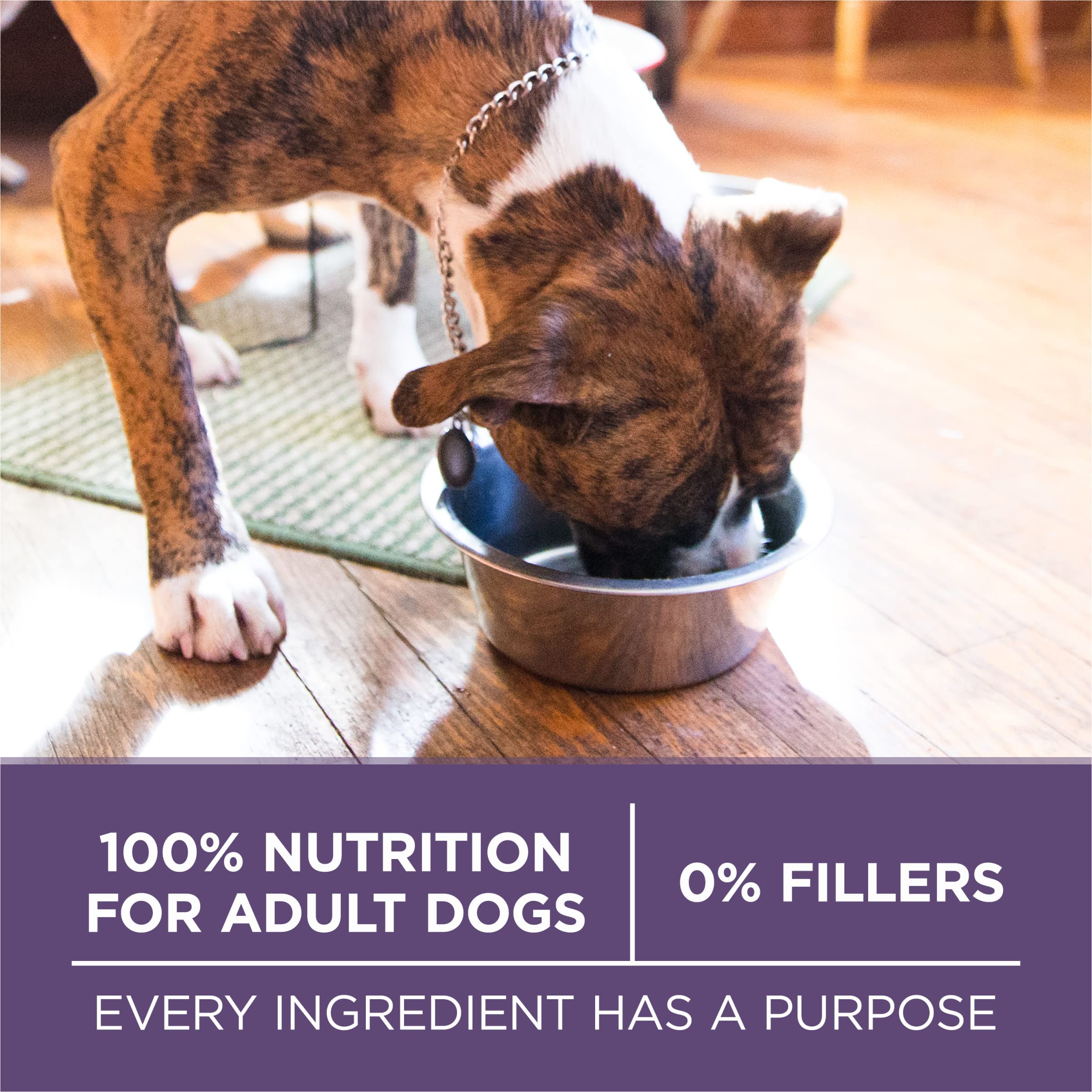 Purina ONE strong muscles and heart support for active seniors