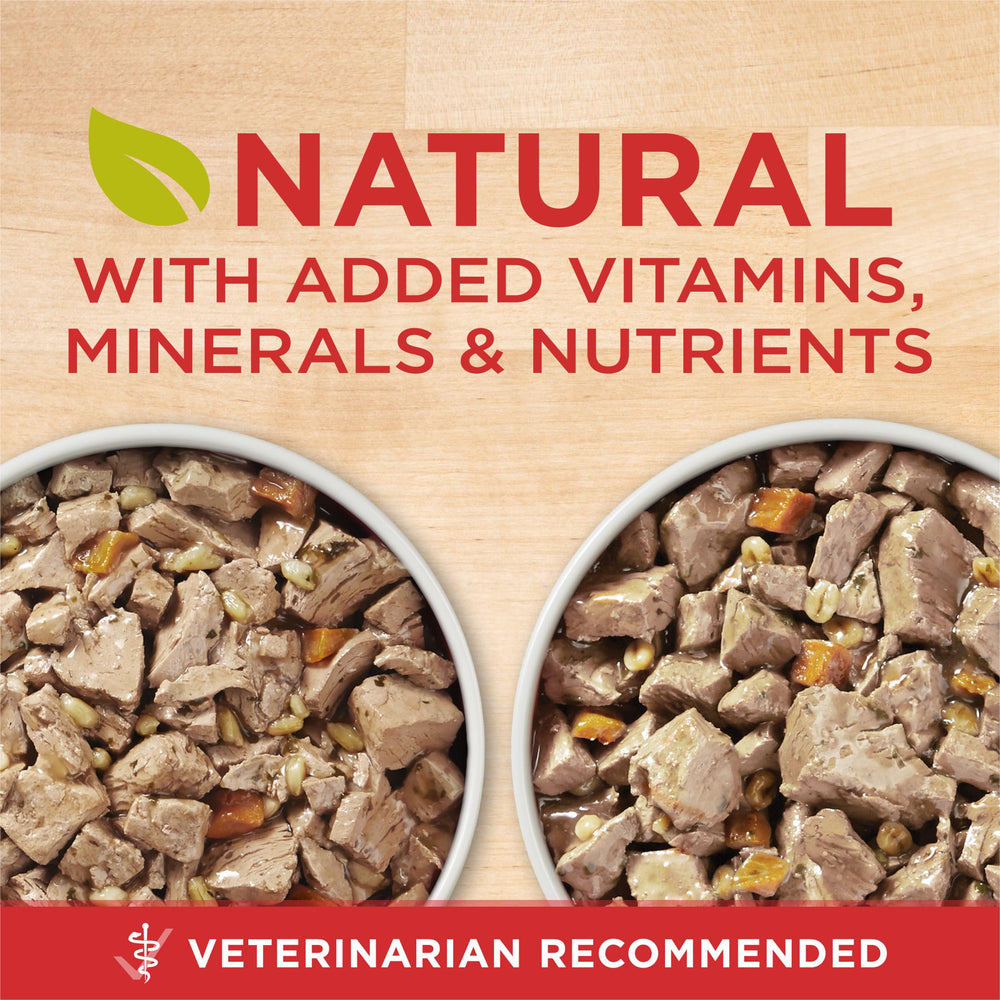 Purina ONE Tender Cuts in Gravy beef and barley bowl highlighting hearty chunks and gravy.