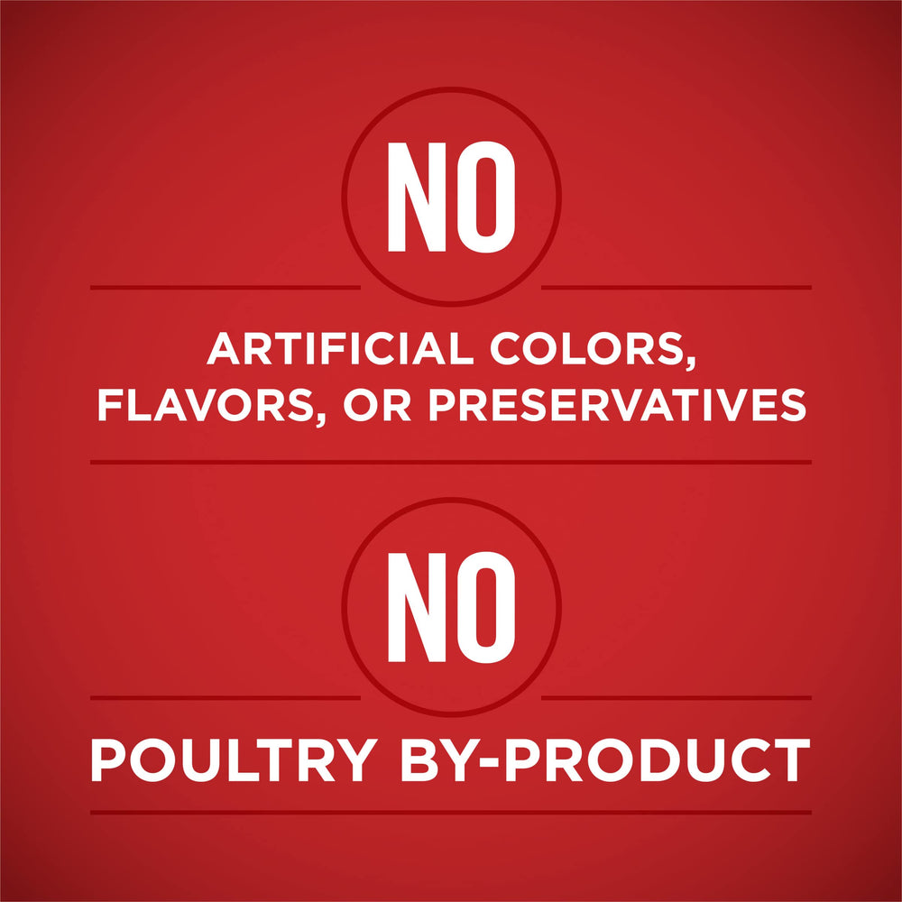 Purina ONE tender meaty morsels illustrate texture and bite-sized pieces for dogs.